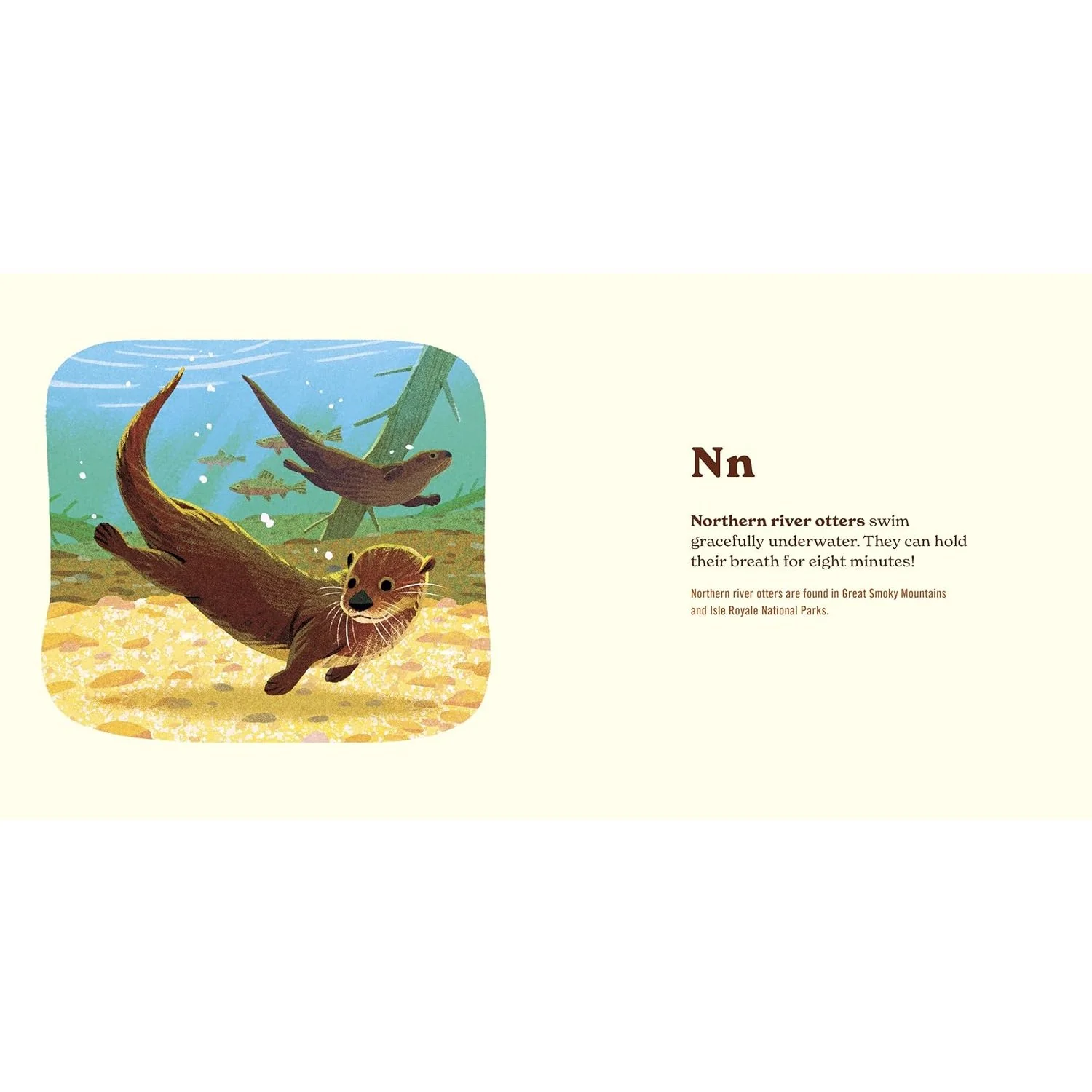 Animals Of The National Parks - Image 3