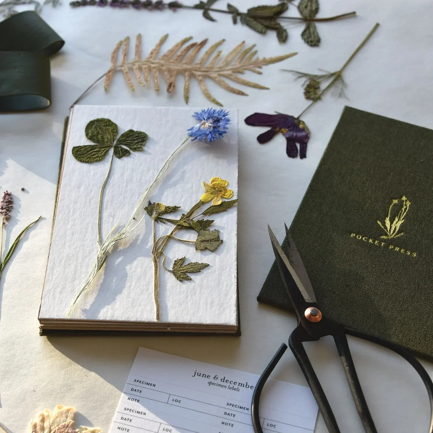 Field Flower Press - Image 3