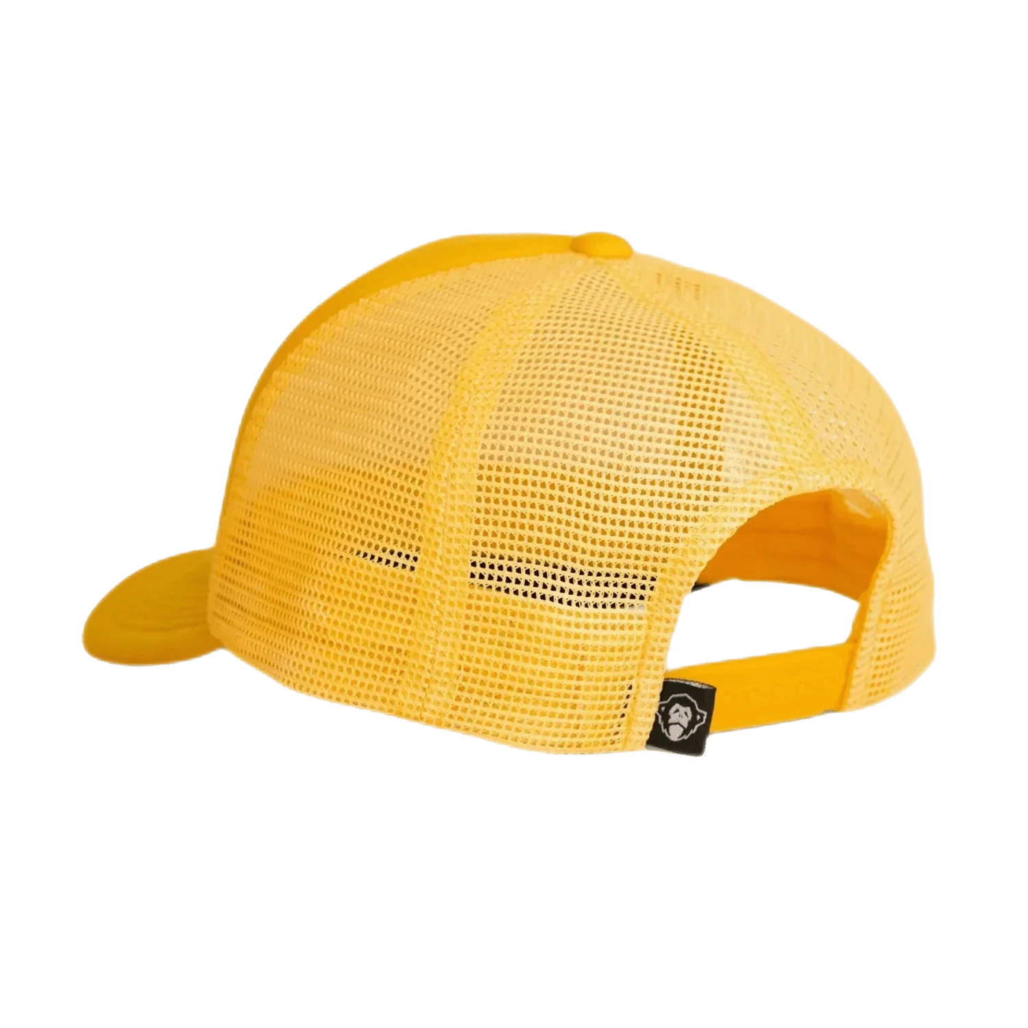 Foam Dome - Image 8