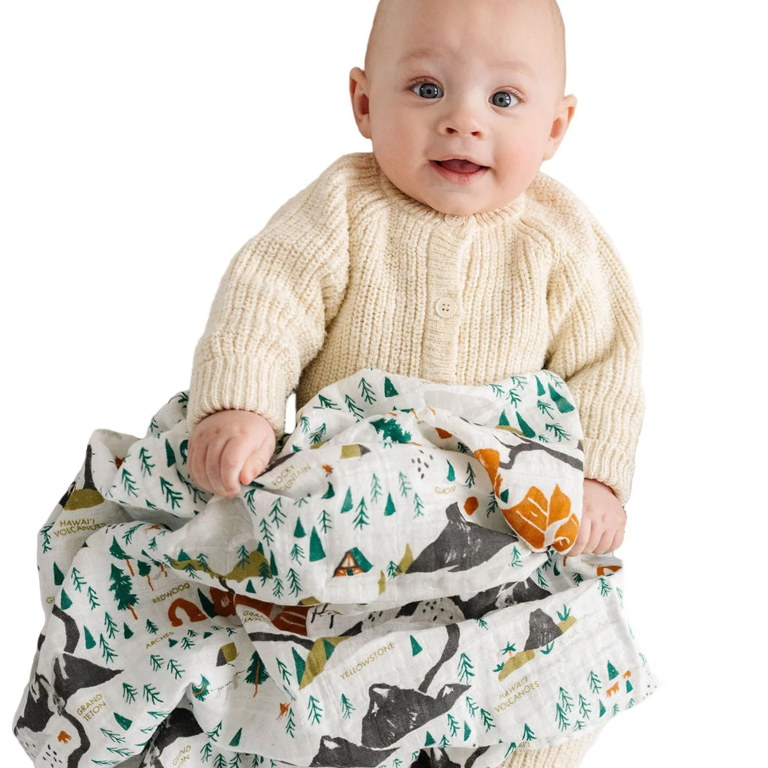 National Parks Swaddle (Mini Pattern)