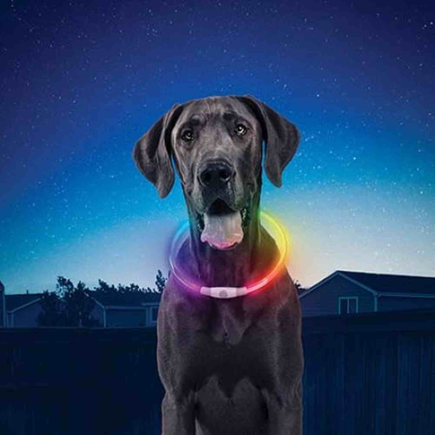 Nitehowl Rechargeable Led Safety Necklace | Disc - O Select